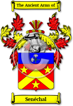 Senéchal Family Crest Download (jpg) Legacy Series - 150 DPI