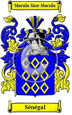 Sénégal Family Crest Download (JPG) Heritage Series - 300 DPI