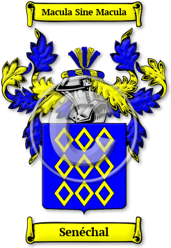 Senéchal Family Crest Download (jpg) Legacy Series - 150 DPI