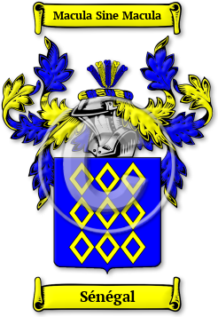 Sénégal Family Crest Download (jpg) Legacy Series - 150 DPI