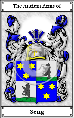 Seng Family Crest Download (JPG)  Book Plated - 150 DPI