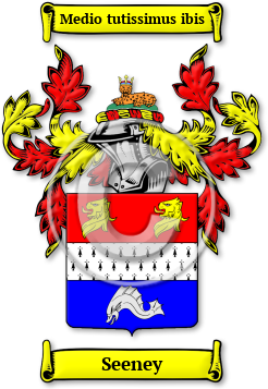 Seeney Family Crest Download (jpg) Legacy Series - 150 DPI