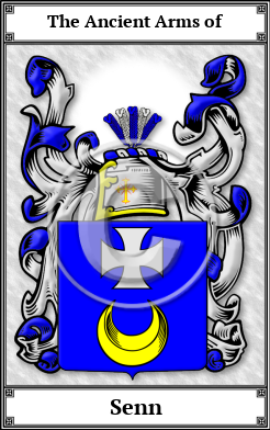 Senn Family Crest Download (JPG) Book Plated - 600 DPI