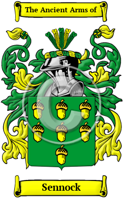 Sennock Family Crest/Coat of Arms