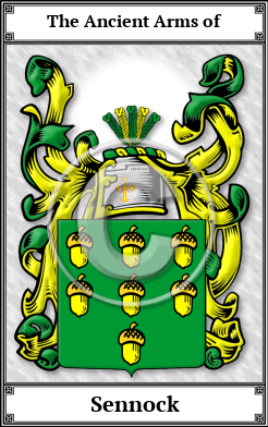 Sennock Family Crest Download (JPG)  Book Plated - 150 DPI