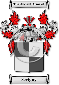 Sevigny Family Crest Download (jpg) Legacy Series - 150 DPI