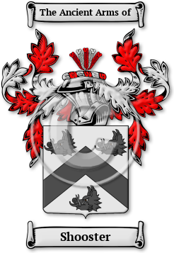 Shooster Family Crest Download (jpg) Legacy Series - 150 DPI