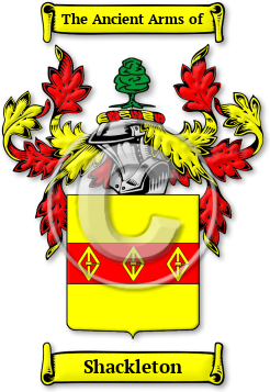 Shackleton Family Crest Download (jpg) Legacy Series - 150 DPI