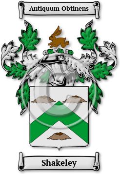 Shakeley Family Crest Download (jpg) Legacy Series - 150 DPI