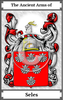 Seles Family Crest Download (JPG) Book Plated - 600 DPI
