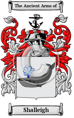 Shalleigh Family Crest/Coat of Arms