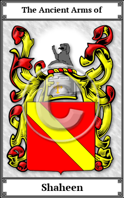 Shaheen Family Crest Download (JPG)  Book Plated - 150 DPI