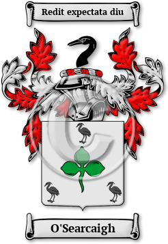 O'Searcaigh Family Crest Download (jpg) Legacy Series - 150 DPI