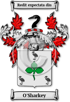 O'Sharkey Family Crest Download (JPG) Legacy Series - 600 DPI