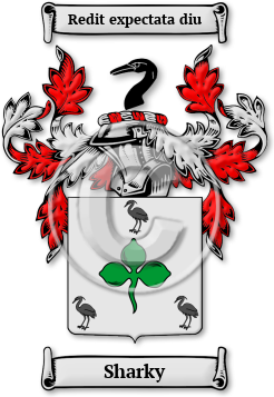 Sharky Family Crest Download (JPG) Legacy Series - 600 DPI