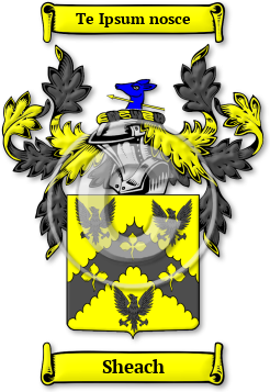 Sheach Family Crest Download (jpg) Legacy Series - 150 DPI
