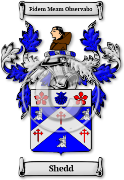 Shedd Family Crest Download (jpg) Legacy Series - 150 DPI