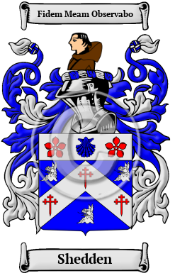 Shedden Family Crest Download (JPG) Heritage Series - 600 DPI