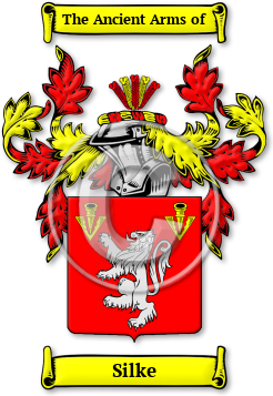 Silke Family Crest Download (JPG) Legacy Series - 600 DPI