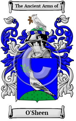 O'Sheen Family Crest Download (JPG) Heritage Series - 600 DPI