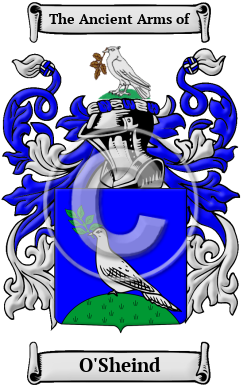 O'Sheind Family Crest Download (JPG) Heritage Series - 600 DPI