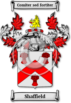 Shaffield Family Crest Download (jpg) Legacy Series - 150 DPI