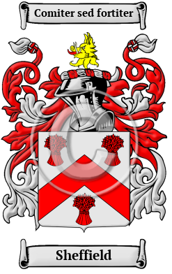 Sheffield Family Crest/Coat of Arms