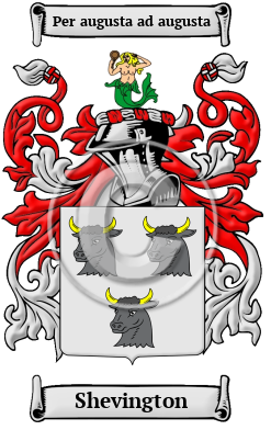 Shevington Family Crest Download (JPG) Heritage Series - 600 DPI