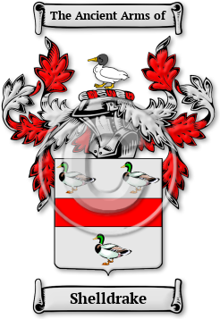 Shelldrake Family Crest Download (jpg) Legacy Series - 150 DPI