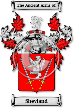 Shevland Family Crest Download (jpg) Legacy Series - 150 DPI