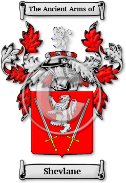 Shevlane Family Crest Download (jpg) Legacy Series - 150 DPI