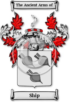 Ship Family Crest Download (JPG) Legacy Series - 300 DPI