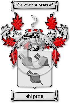 Shipton Family Crest Download (jpg) Legacy Series - 150 DPI