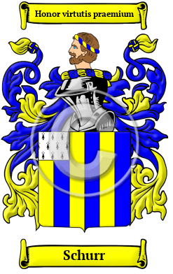 Schurr Family Crest/Coat of Arms