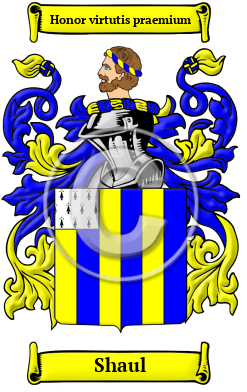 Shaul Family Crest Download (JPG) Heritage Series - 600 DPI
