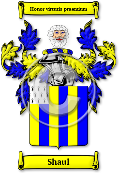 Shaul Family Crest Download (JPG) Legacy Series - 300 DPI