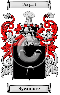 Sycamore Family Crest Download (JPG) Heritage Series - 600 DPI