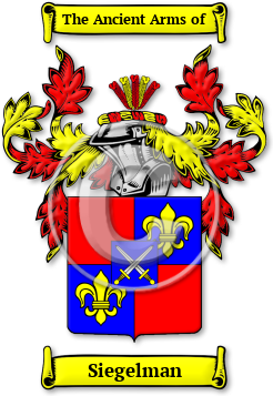 Siegelman Family Crest Download (JPG) Legacy Series - 600 DPI