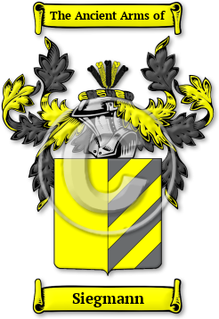 Siegmann Family Crest Download (JPG) Legacy Series - 600 DPI