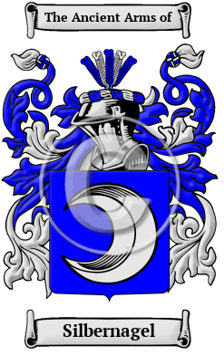 Silbernagel Family Crest Download (JPG) Heritage Series - 600 DPI