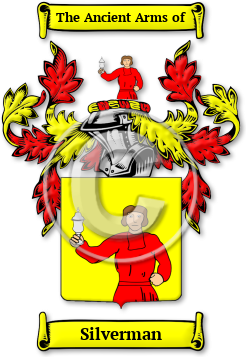Silverman Family Crest Download (jpg) Legacy Series - 150 DPI