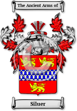Siluer Family Crest Download (jpg) Legacy Series - 150 DPI