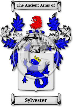 Sylvester Family Crest Download (jpg) Legacy Series - 150 DPI