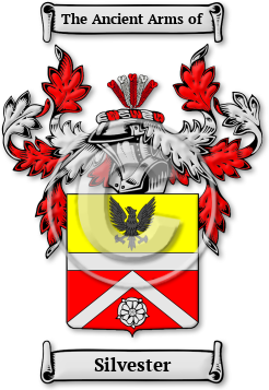 Silvester Family Crest Download (jpg) Legacy Series - 150 DPI