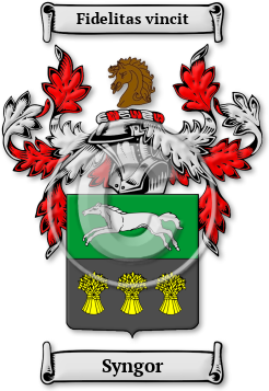 Syngor Family Crest Download (JPG) Legacy Series - 600 DPI