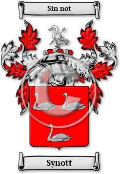 Synott Family Crest Download (jpg) Legacy Series - 150 DPI