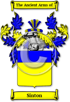 Sinton Family Crest Download (jpg) Legacy Series - 150 DPI