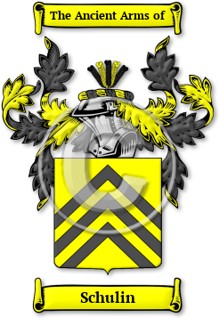 Schulin Family Crest Download (jpg) Legacy Series - 150 DPI