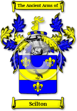 Scilton Family Crest Download (jpg) Legacy Series - 150 DPI