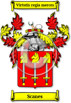 Scanes Family Crest Download (jpg) Legacy Series - 150 DPI